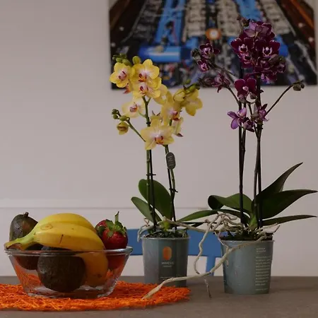 La Dolce Apartman